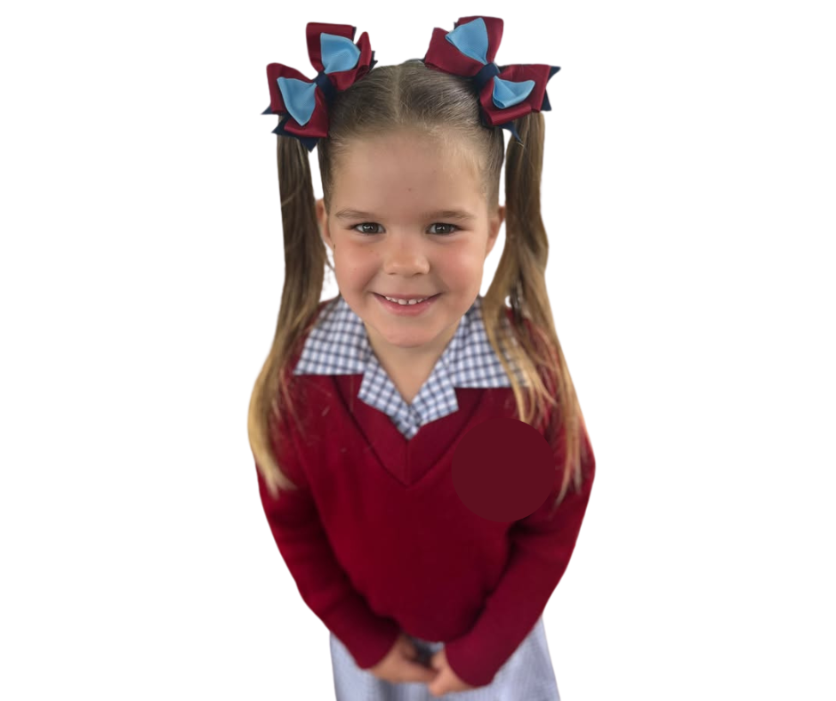 Classic Bow Hair tie/clip for School - custom made, choose colours needed